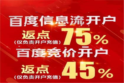 SEM广告投放策略案例分析